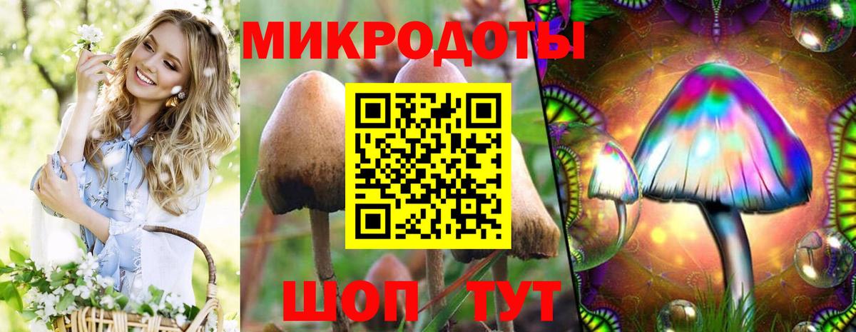 Псилоцибиновые грибы Psilocybe  Вход с VPN  Псилоцибиновые грибы Magic Shrooms  Астрахань 