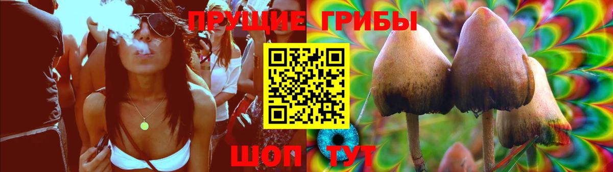Псилоцибиновые грибы GOLDEN TEACHER Астрахань